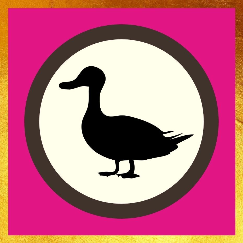 Duck Treats