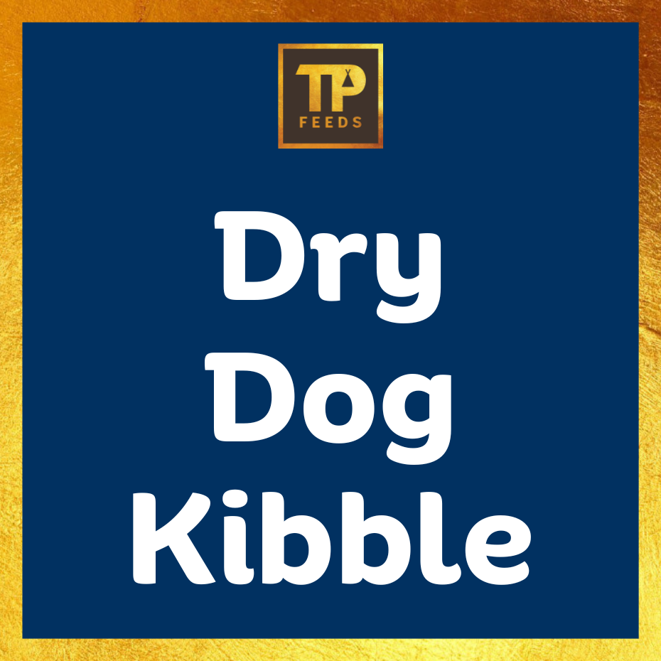 <!--003-->Dry Dog Food