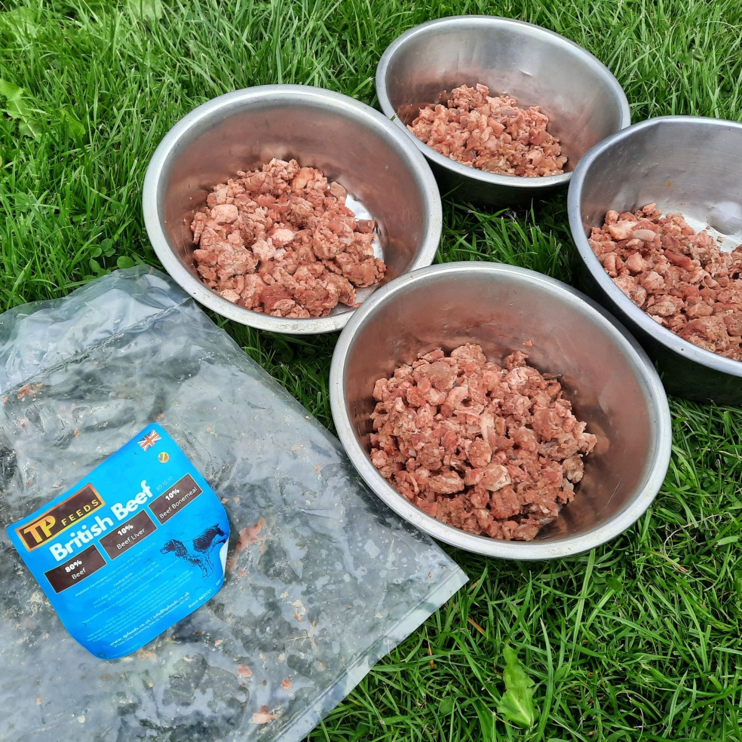 Raw Dog Food Feeding Guide