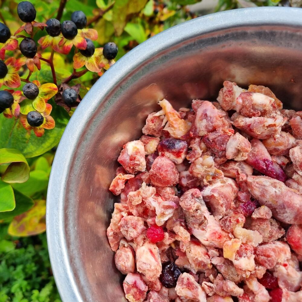 <!--015-->British Beef & Berries (6kg - 18kg)