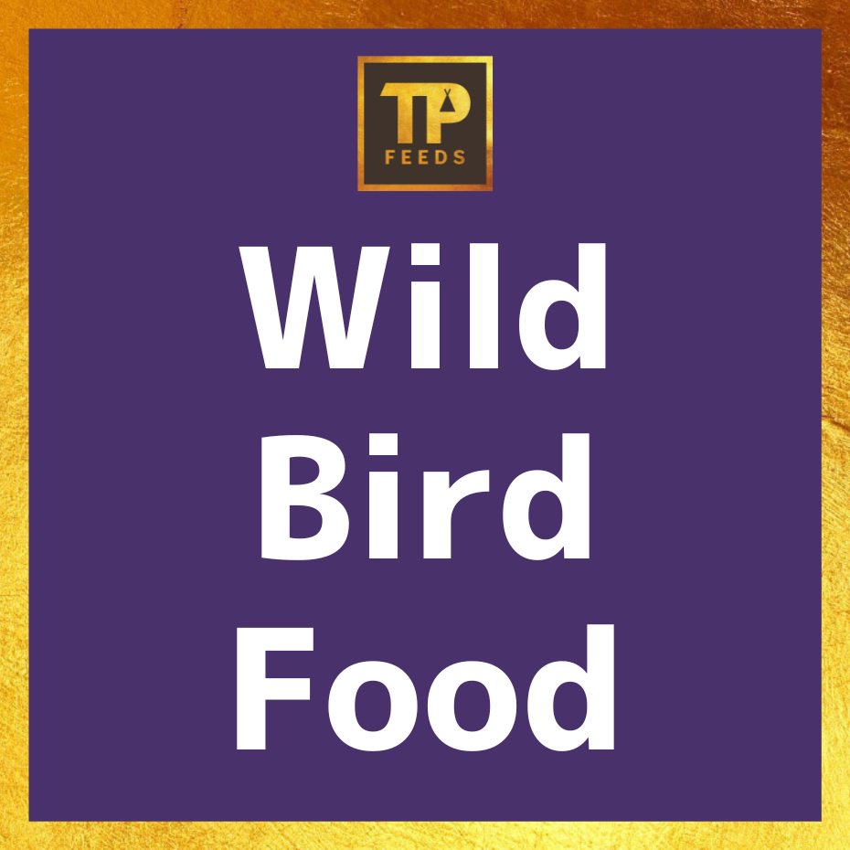 <!--006-->Wild Bird Food