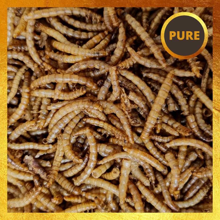 Dried Mealworms 150g