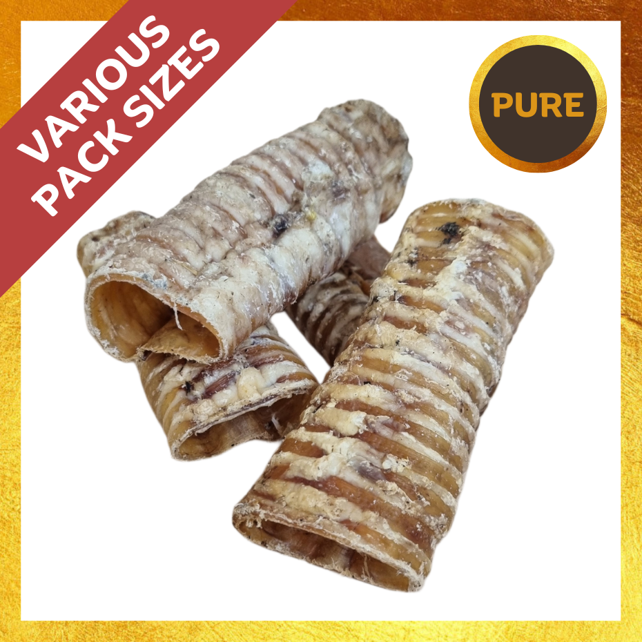 Beef Trachea