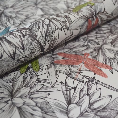 Dragonflies