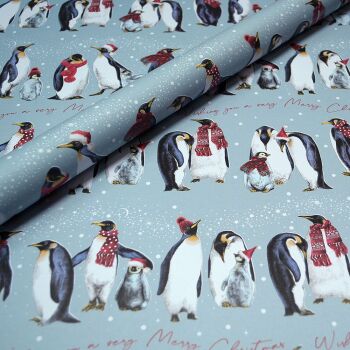 Cosy Penguins