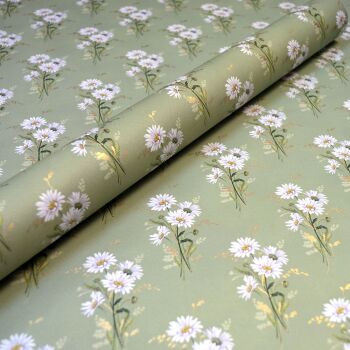 White Daisies