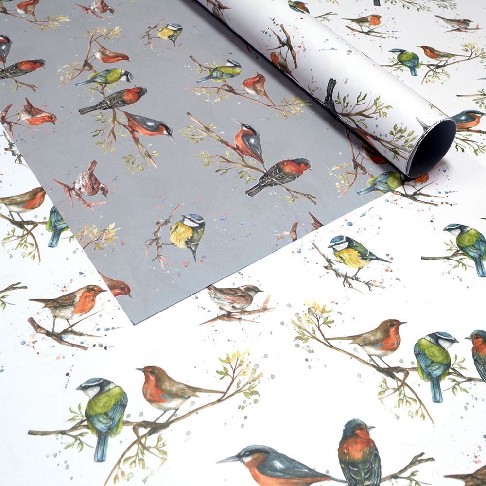 Birds of Britain