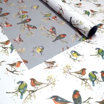 Birds of Britain