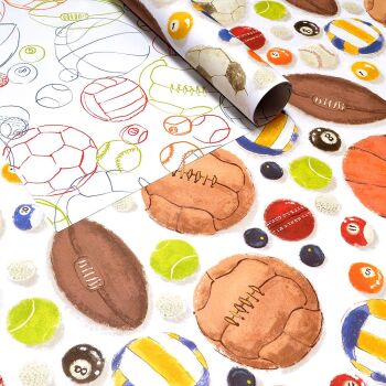 Sports Balls