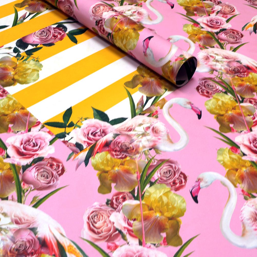 Lola Flamingo