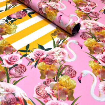 Lola Flamingo