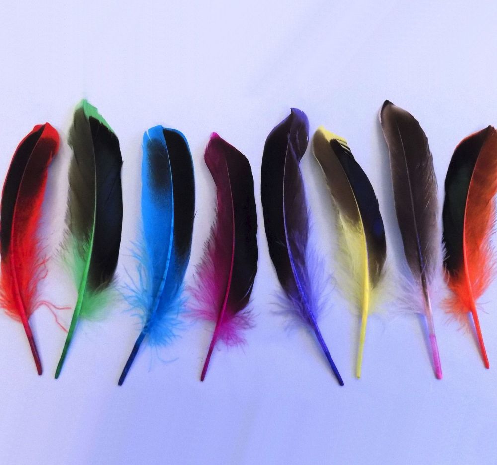 Dyed Mallard Duck Wing Feathers x 10