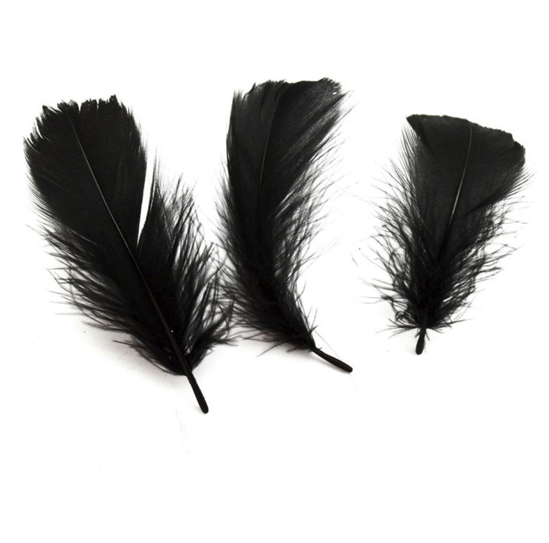 Black Goose Coquille Feathers x 25