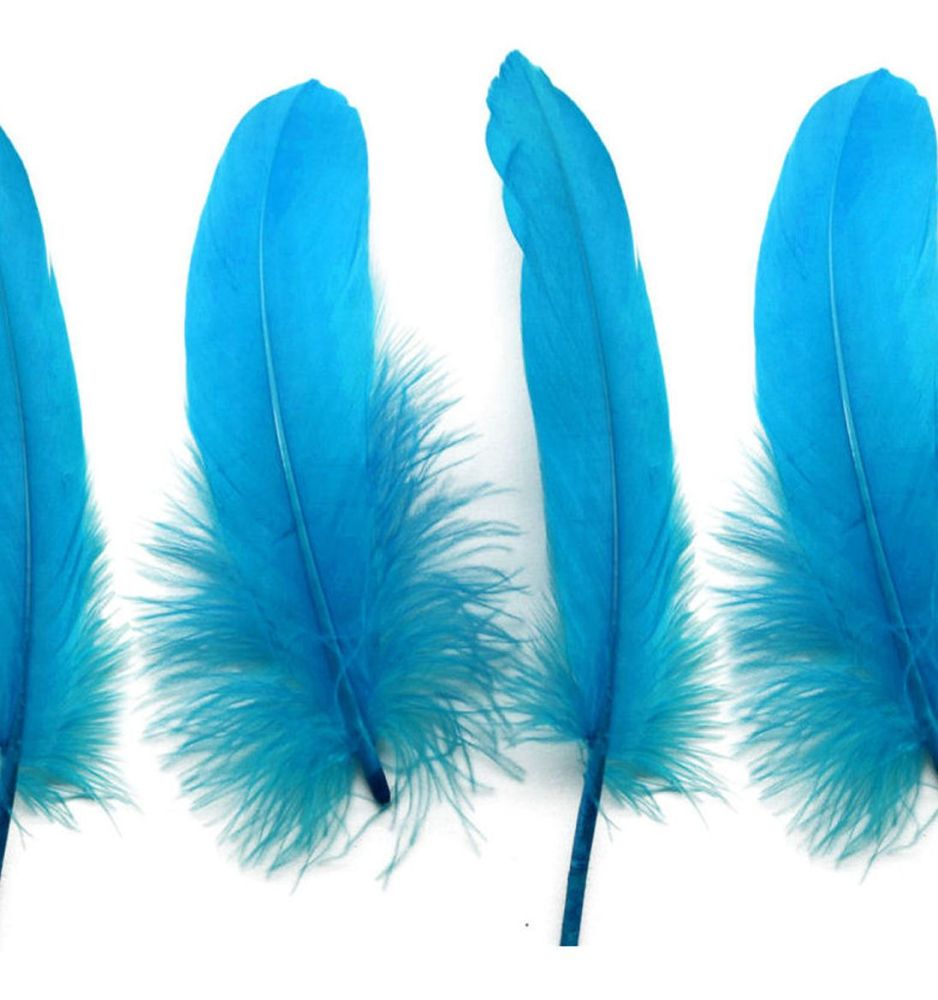 Aqua Blue Goose Quill Feathers x 4 