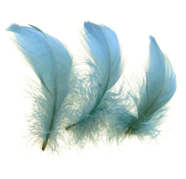 Country Blue Goose Coquille Feathers x 50