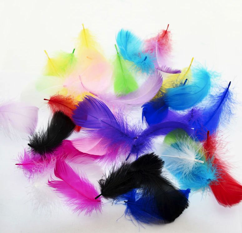 Goose Coquille Feathers Assorted x 25