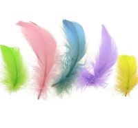 Goose Coquille Feathers Spring Pastels x 25