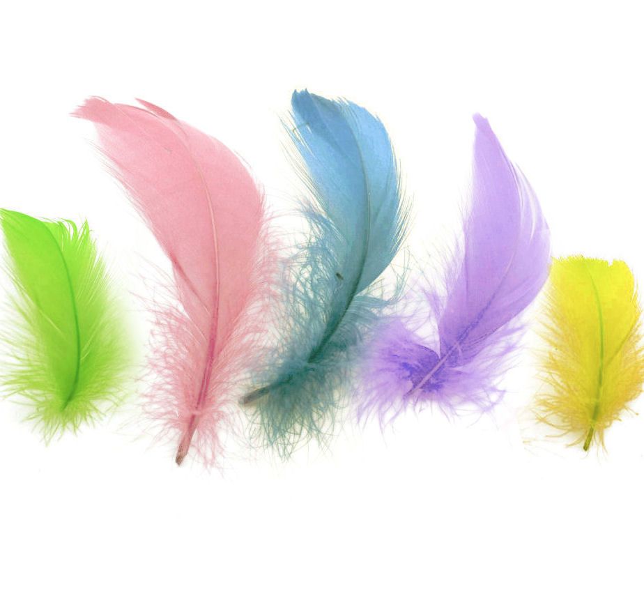 Goose Coquille Feathers Spring Pastels x 50