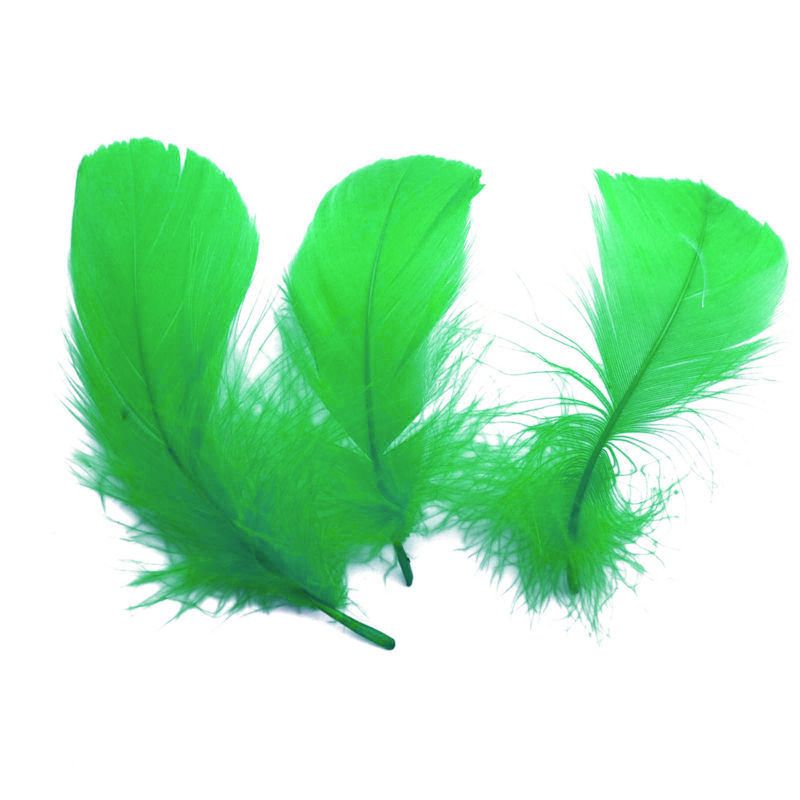 Green Goose Coquille Feathers x 25
