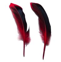 Red Satinette Duck Feathers x 4
