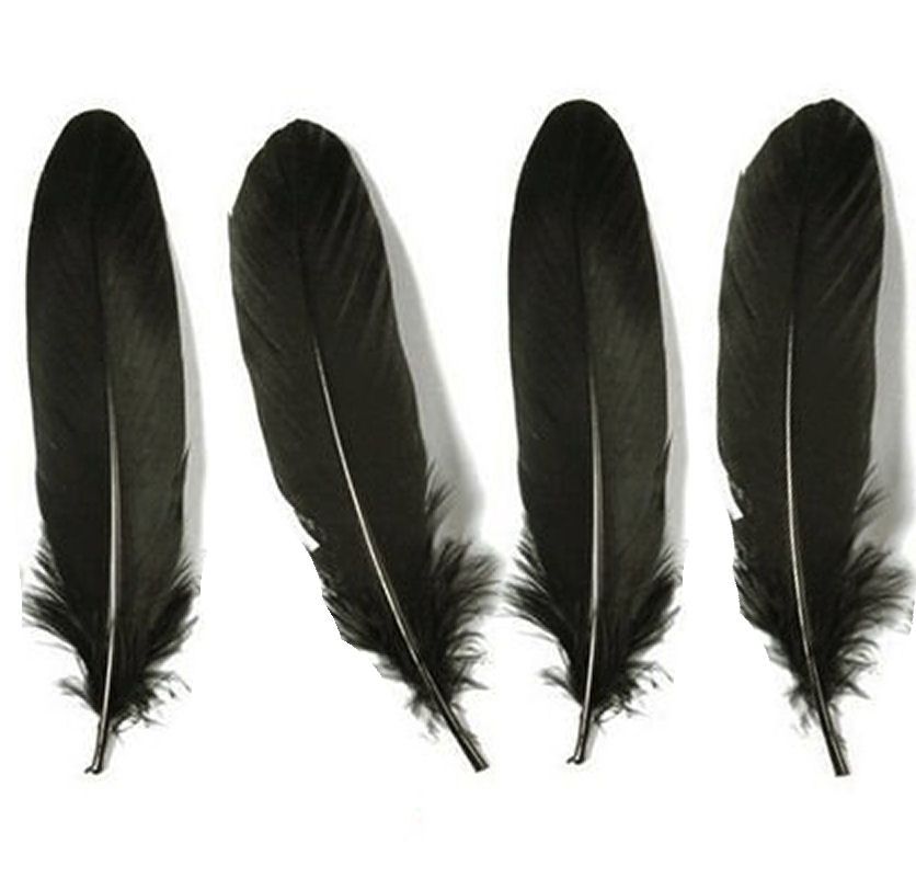 Black Feathers Goose Quill Long