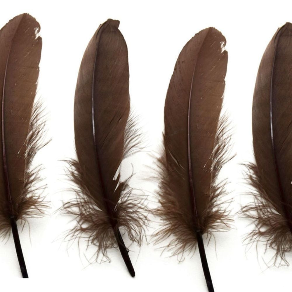 Brown Goose Quill Feathers x 4 