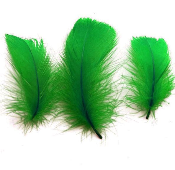 Kelly Green Goose Coquille Feathers x 25