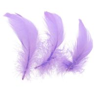 Lilac Goose Coquille Feathers x 25