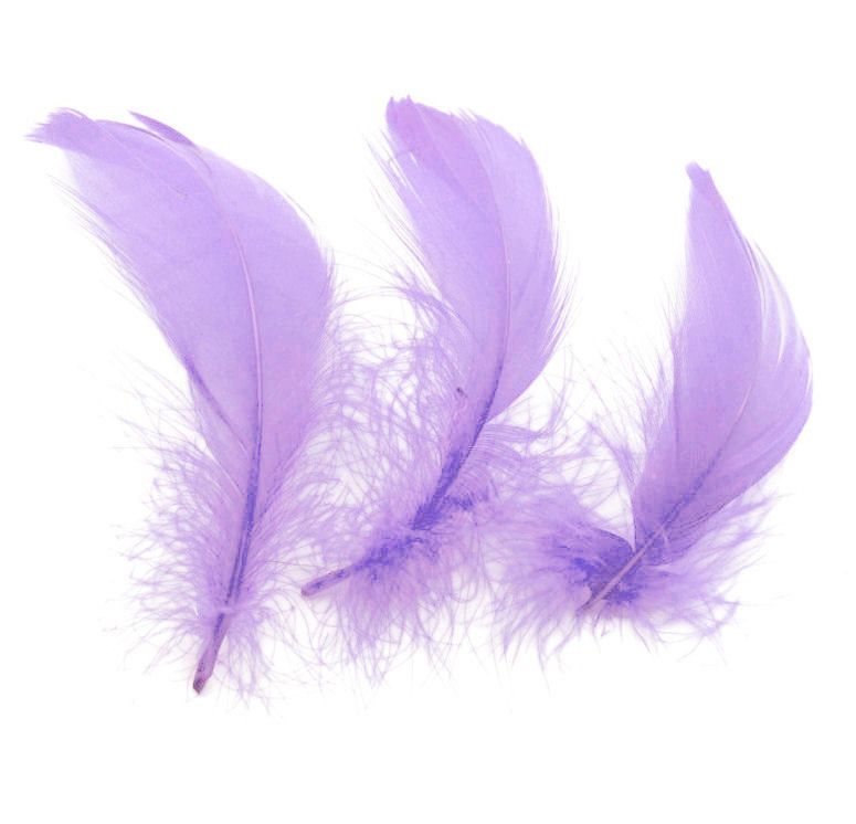 Lilac Goose Coquille Feathers x 25