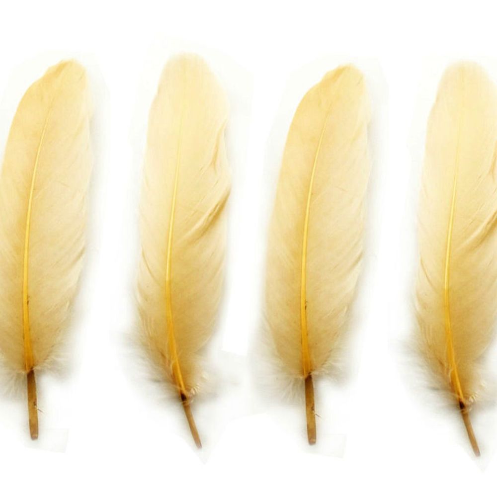 Cream Goose Quill Feathers x 4 