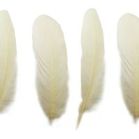 Ivory Goose Quill Feathers x 4 
