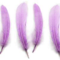 Lilac Goose Quill Feathers x 4