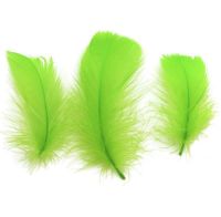 Lime Green Goose Coquille Feathers x 25