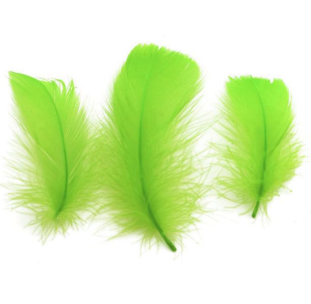Lime Green Goose Coquille Feathers x 25
