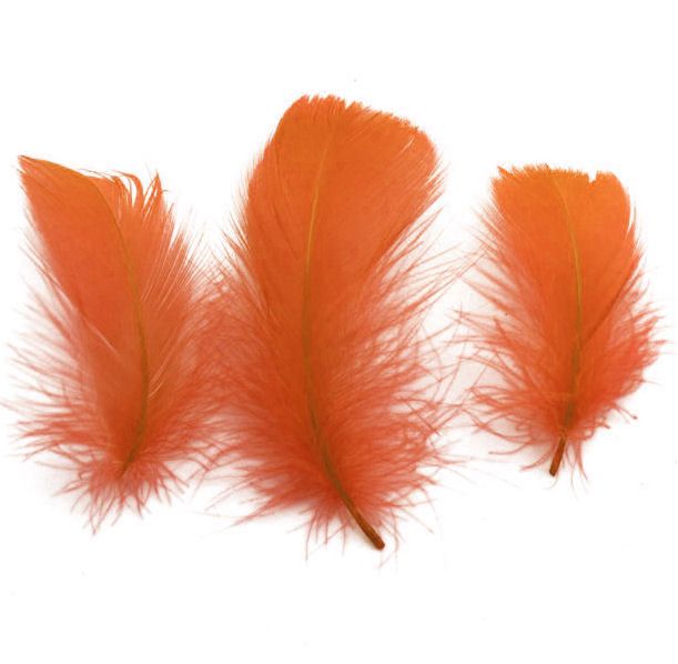Orange Goose Coquille Feathers x 25