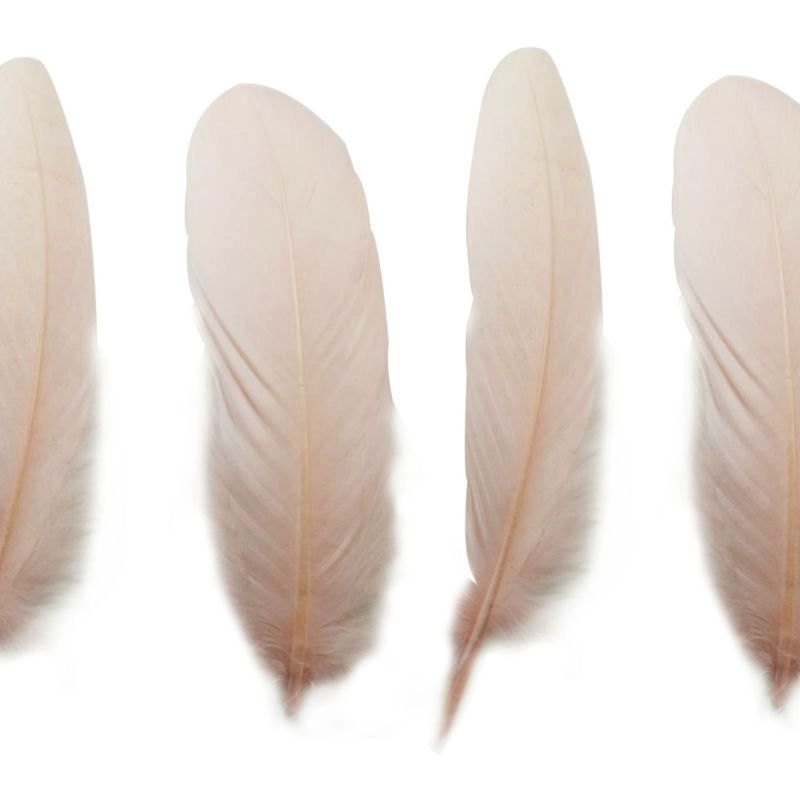 Pale Peach Goose Quill Feathers x 4 