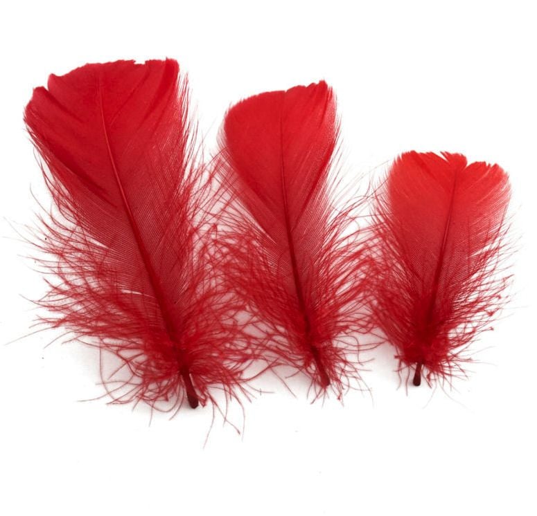 Red Goose Coquille Feathers x 50