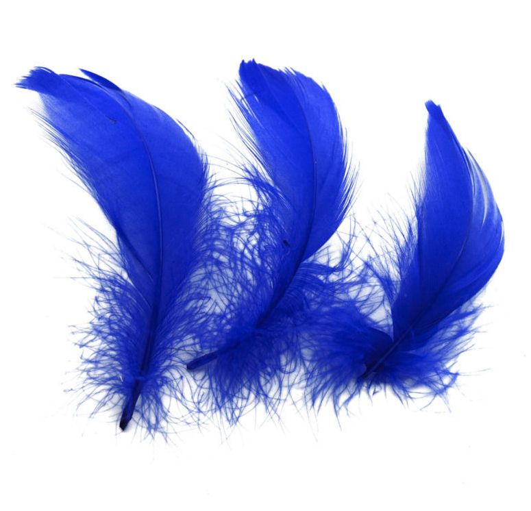 Royal Blue Goose Coquille Feathers x 50