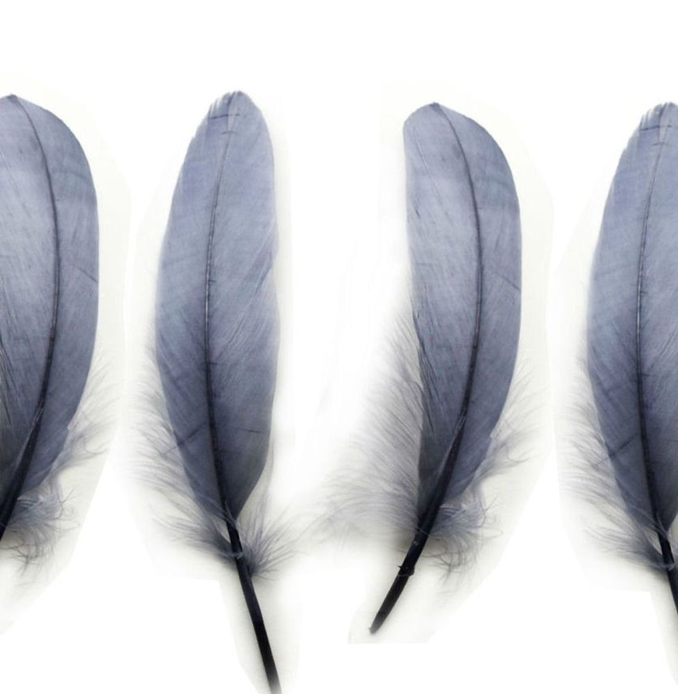 Silver Goose Quill Feathers x 4 