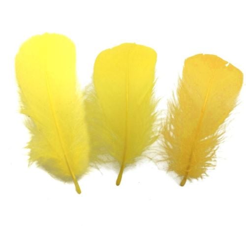 Yellow Goose Coquille Feathers x 50