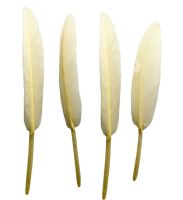 Ivory Goose Quill Feathers x 10