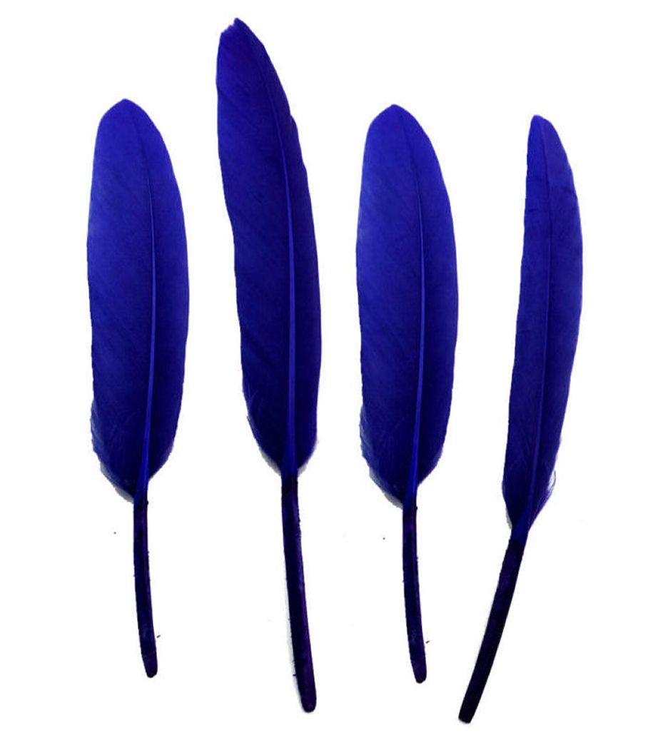 Royal Blue Goose Quill Feathers x 10