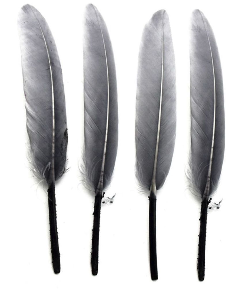 Silver Goose Quill Feathers x 10