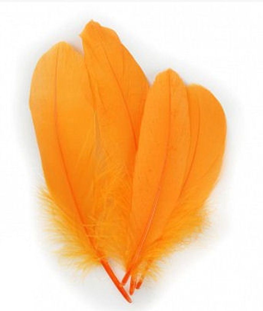 Mango Orange Parried Goose Pallette Feathers x 10