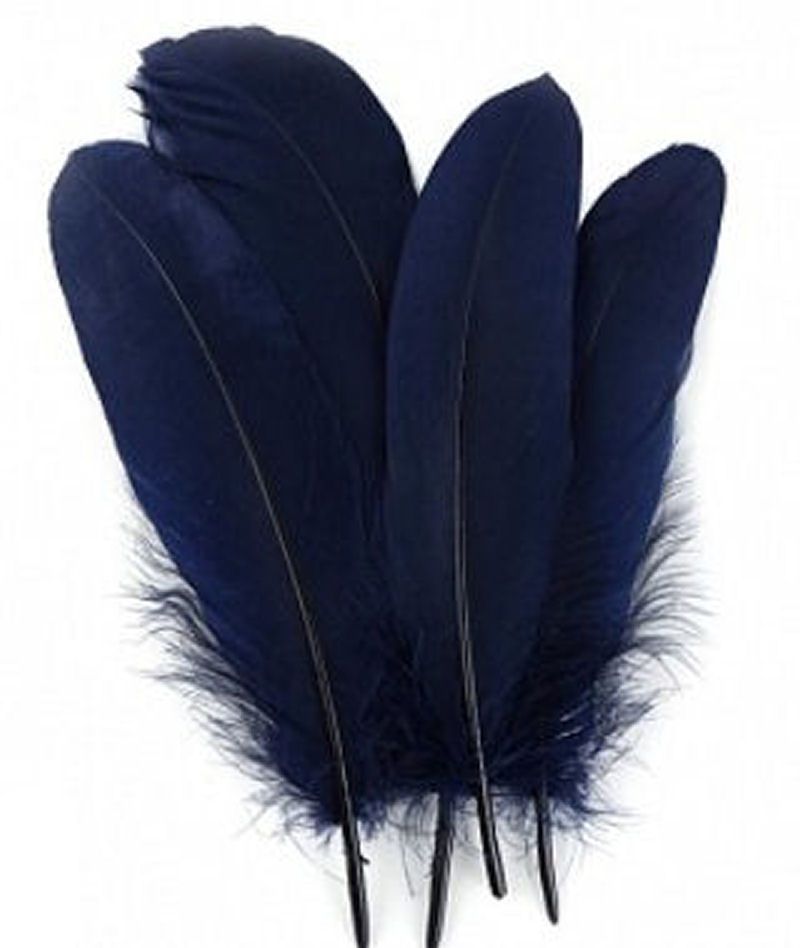 Navy Blue Parried Goose Pallette Feathers x 5