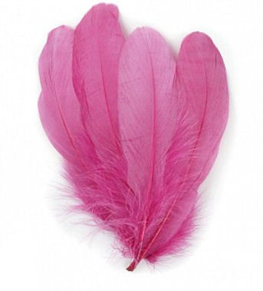Pink Raspberry Parried Goose Pallette Feathers x 10