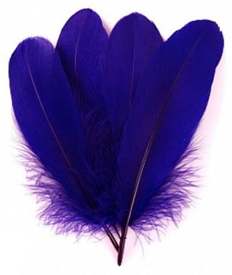 Regal Purple Parried Goose Pallette Feathers x 10