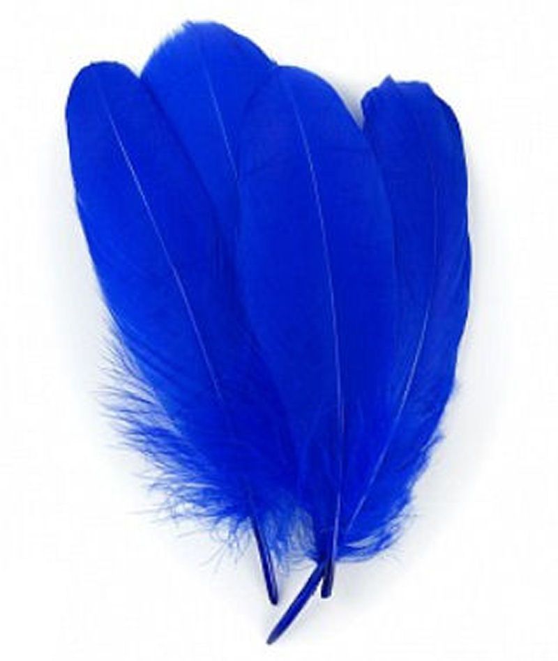 Royal Blue Parried Goose Pallette Feathers x 10