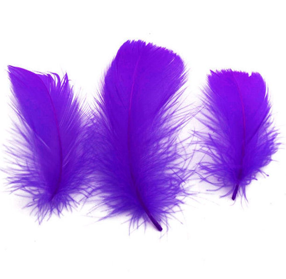Purple Goose Coquille Feathers x 25