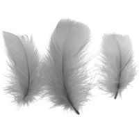 Silver Goose Coquille Feathers x 25